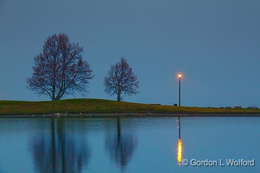 Two Trees & LIght_10975.jpg - Andrew Haydon Park photographed at Ottawa, Ontario - the capital of Canada.